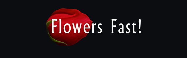 Flowers Fast Flowers